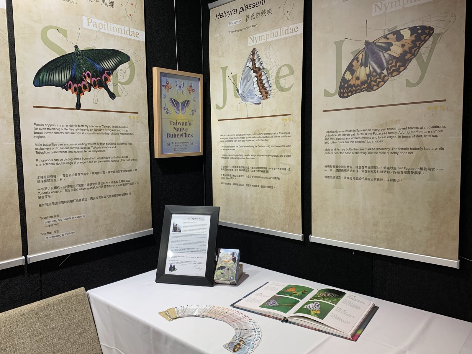 2025 WAMCI exhibition scene at Brisbane City Hall