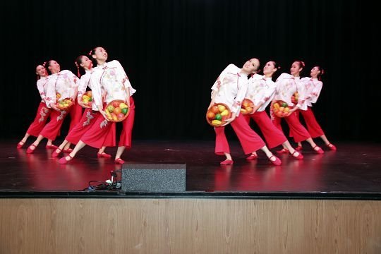 Festival activity 11