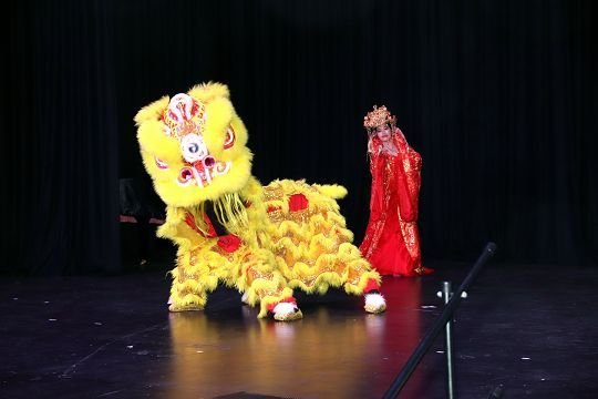 Festival activity 7