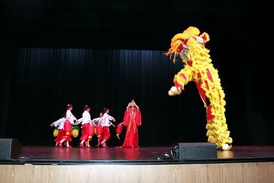 Festival activity 8