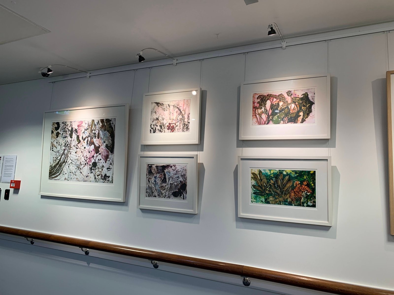 Art Trail 14